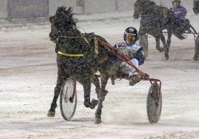 Harmimatic Tinker tyylitteli Vermon loppusuoralla.