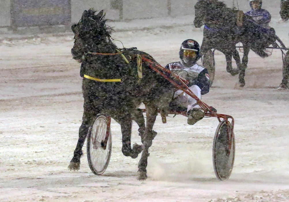 Harmimatic Tinker tyylitteli Vermon loppusuoralla.