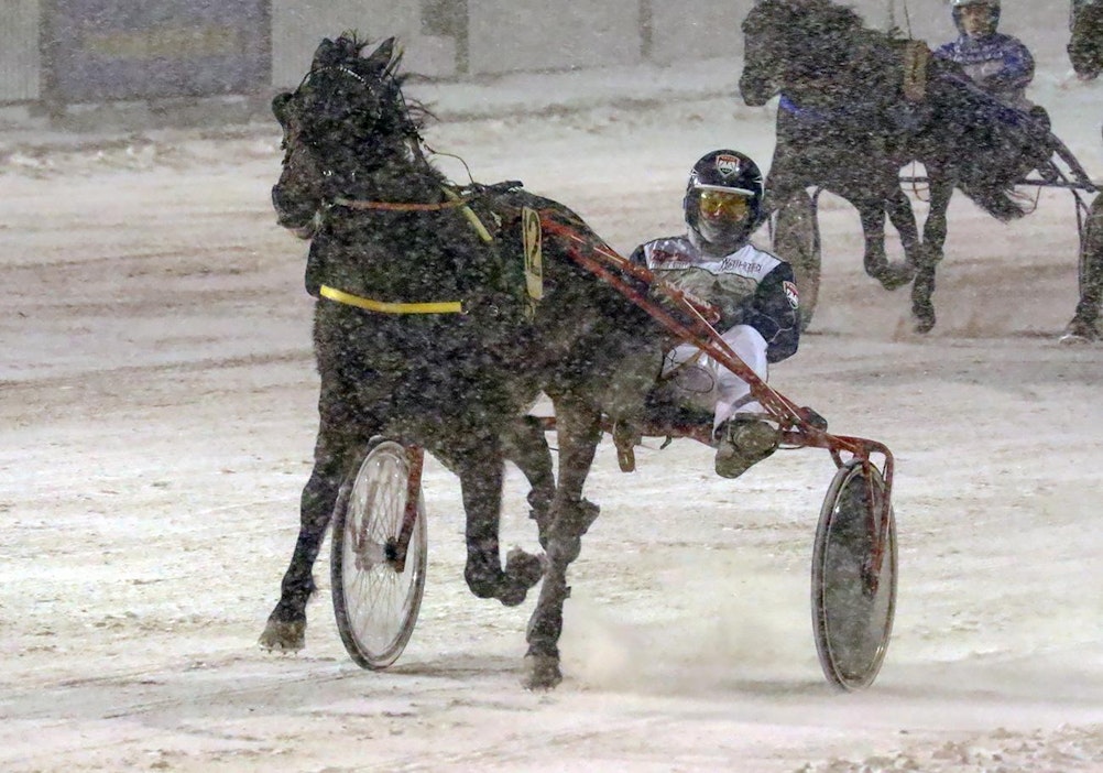 Harmimatic Tinker tyylitteli Vermon loppusuoralla.