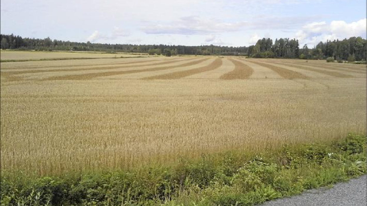 Krister Hästbacka