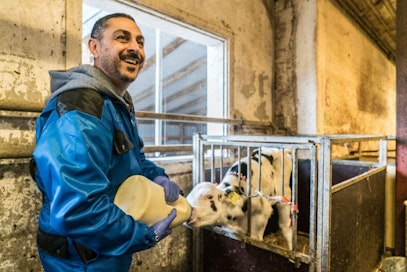 Arman Pohjantähden alla - Maaseudun Tulevaisuus