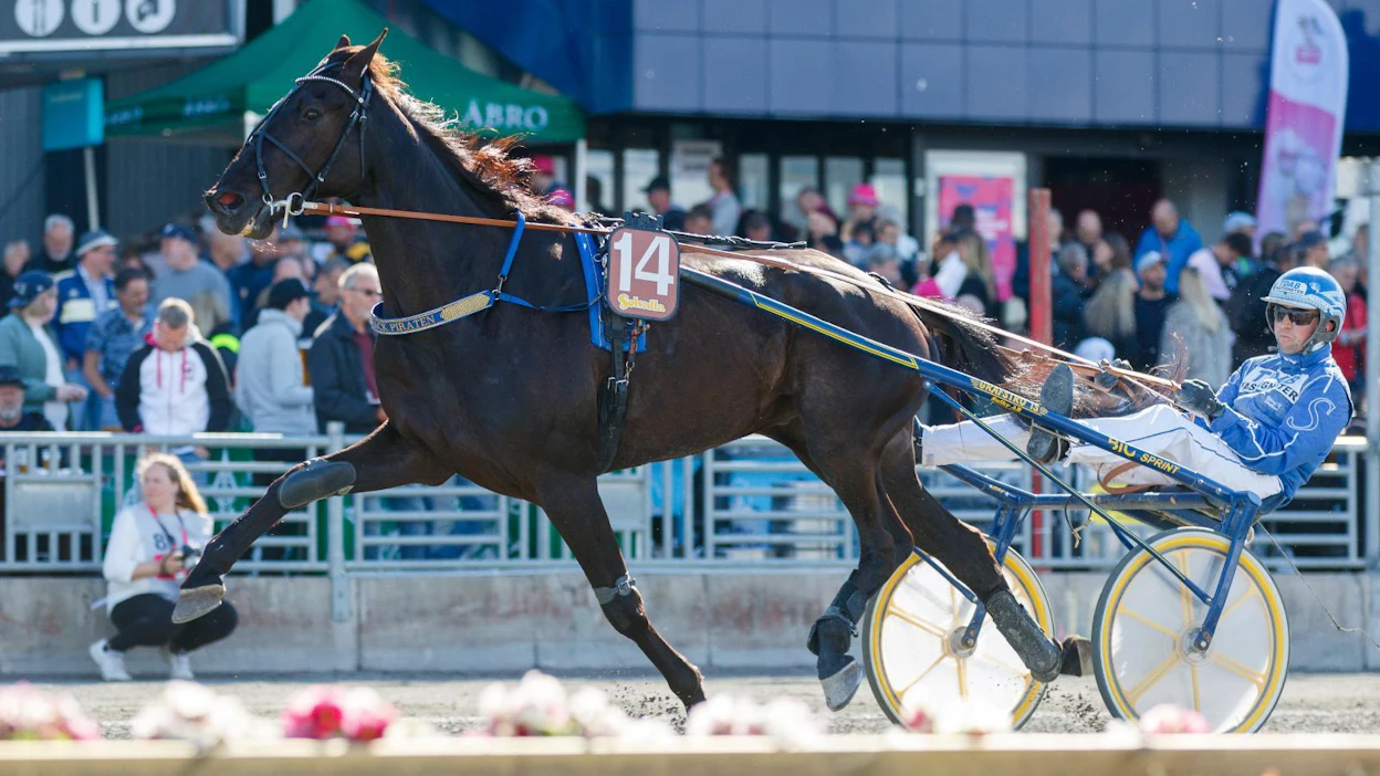 On Track Piraten osallistui Elitloppet-viikonlopun raveihin kaksi vuotta sitten.