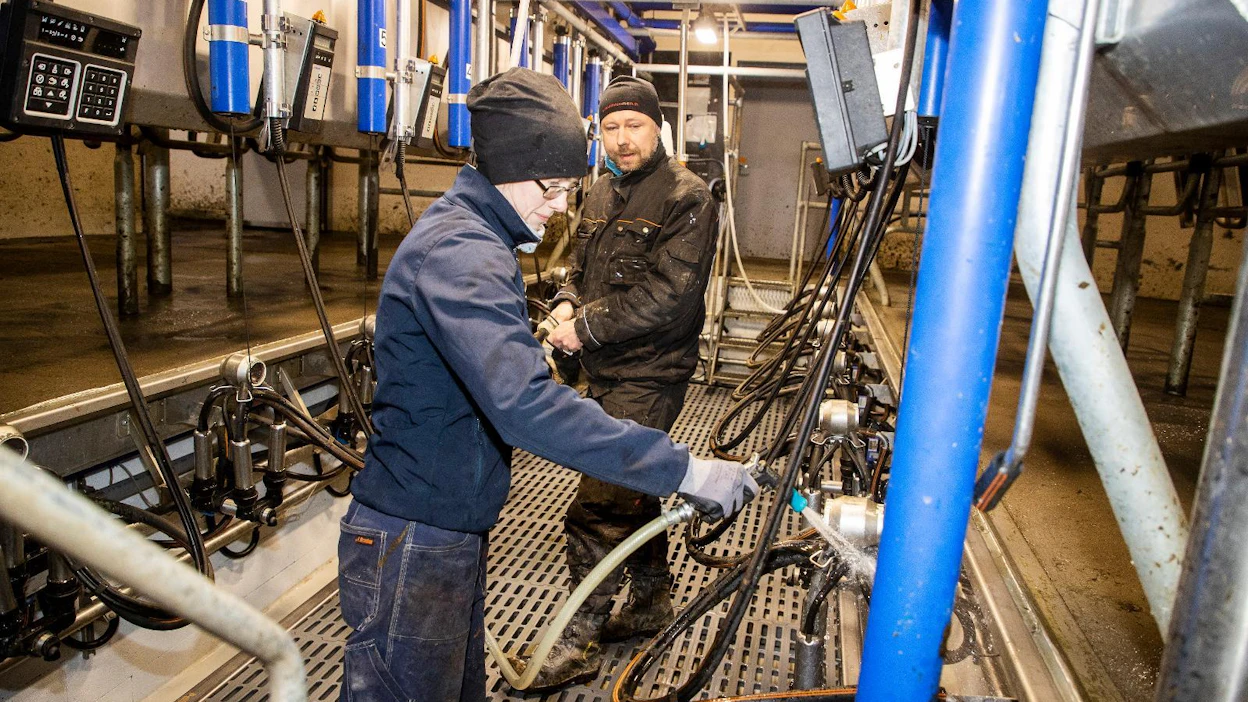 Käytettynä ostettuun lypsyasemaan lisättiin muutama paikka ja sen muotoa muutettiin, jolloin tuloksena oli 2x7-paikkainen takalypsyasema.