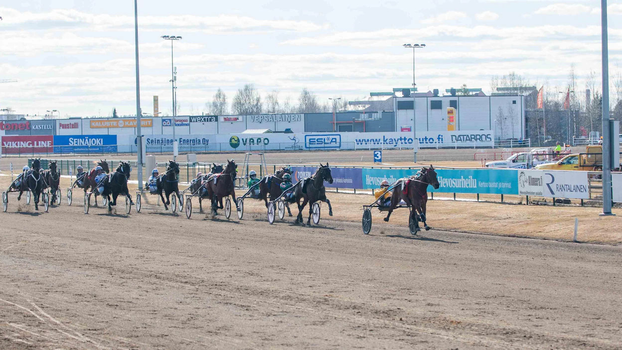 Maalisuoran kaista-ajot puhuttavat raviväkeä jatkuvasti, mutta eritoten tänä syksynä on riittänyt jutunjuurta.
