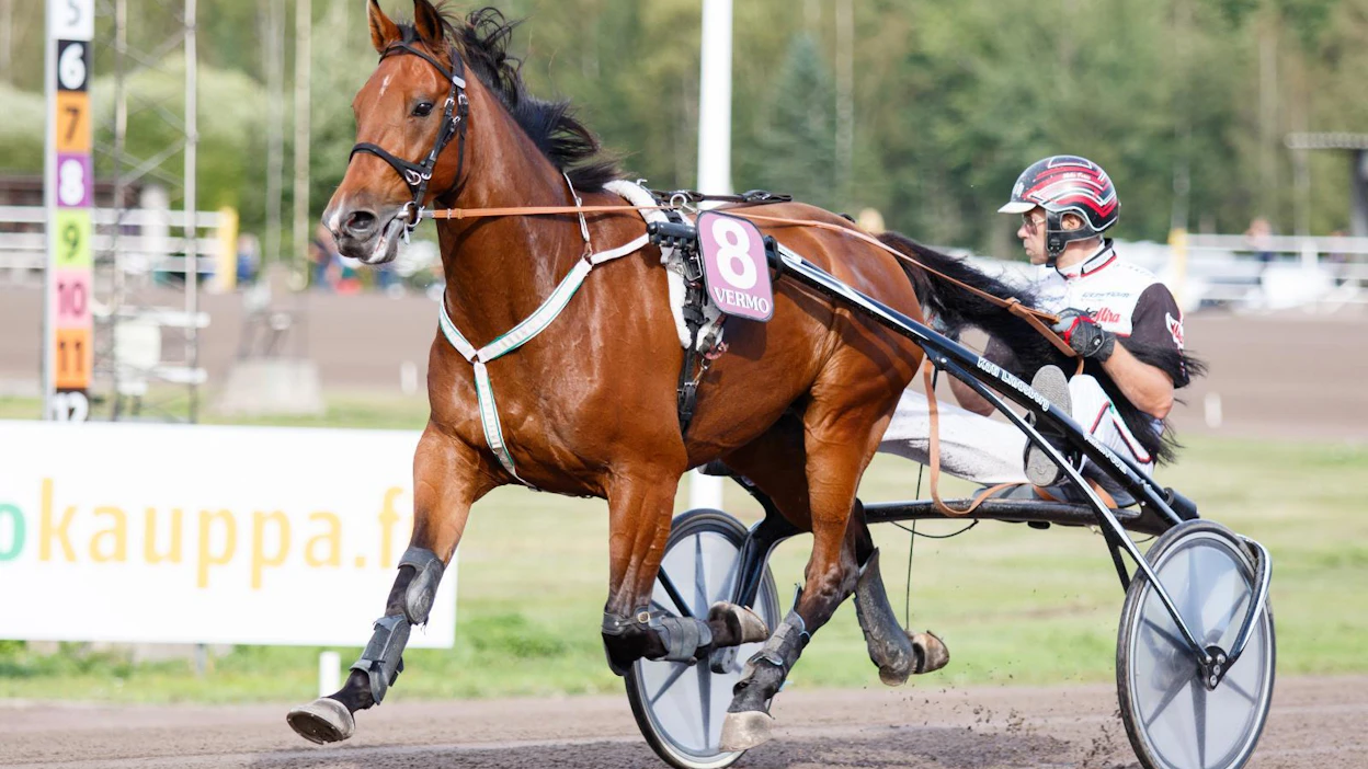 Jenni Peltokorvelle siirtynyt 11,5-aikainen Wicasa Sioux juoksee tässä arkistokuvassa Mika Forssin ohjastamana.