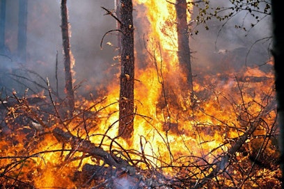 Lämpenevä ilmasto lisää metsäpaloriskiä.
