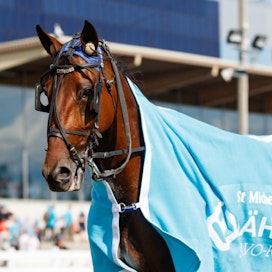 Callela Ladyboss karautti kotiratansa suurkisassa Kuopio Stakesissa kilpailuennätyksen 11,7 viisi vuotta sitten.
