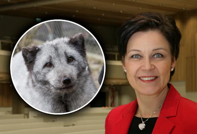 "Minä en halua, että tällaisen takia Suomeen tuodaan sikarutto, jota muuten kaikin tavoin yritetään välttää", toteaa Suomen turkiseläinten kasvattajain liiton Fifurin toiminnanjohtaja Marja Tiura.