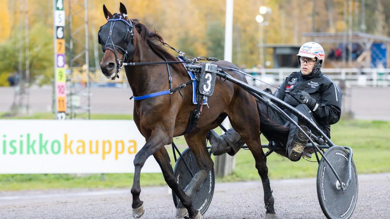 Timo Korvenheimon suojatti Sahara Sandstorm lukeutuu valtakunnan uutterimpiin kilpailijoihin. 4-vuotiaana pitkän matkan voltin SE-tuloksen tehtaillut loistava ravuri starttaa tällä viikolla Vermossa keskiviikkona ja lauantaina.