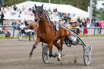 Tommi Kylliäinen on ajanut toistaiseksi kaikki Trot Kronoksen startit Suomessa. Lauantaina rattailla jatkaa Harri Koivunen