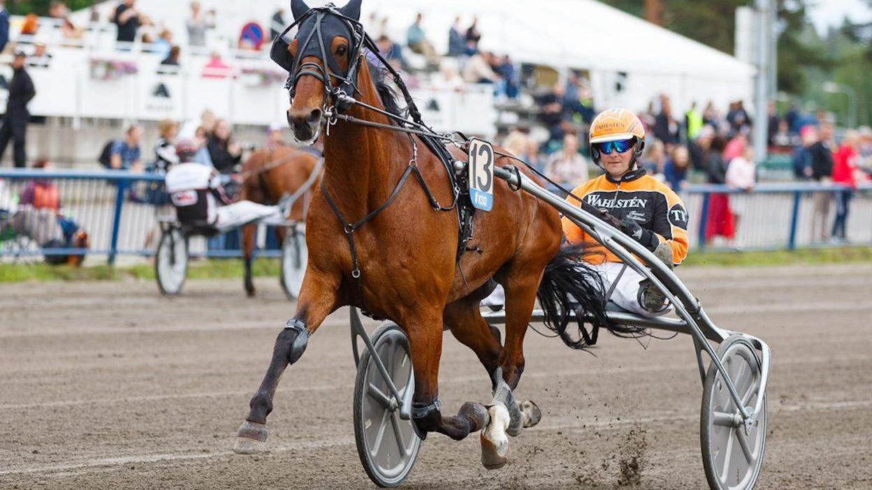 Tommi Kylliäinen on ajanut toistaiseksi kaikki Trot Kronoksen startit Suomessa. Lauantaina rattailla jatkaa Harri Koivunen