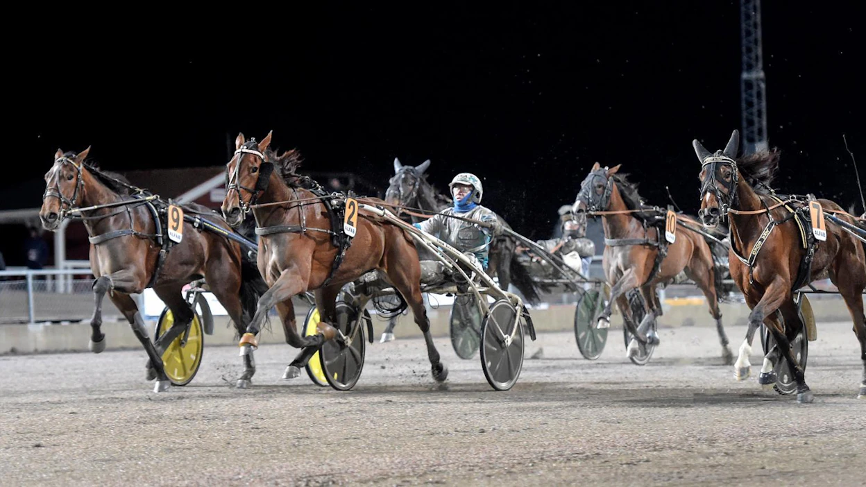 Keskellä rataa kirivä Glamorous Rain toi ohjastaja Örjan Kihlströmille toisen Breeders Crown -voiton sunnuntaina Eskilstunassa. Sen sisäpuolella Lara Boko kestää hienosti toiseksi ennen ulkoa kirivää Imhatra Am:ia.