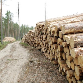Juhannuksen jälkeen puukauppa perinteisesti hiljenee ja piristyy jälleen elokuussa. Kaikkia kiinnostaa nyt se, millaiselle tasolle puun hinnat alkusyksyllä asettuvat.