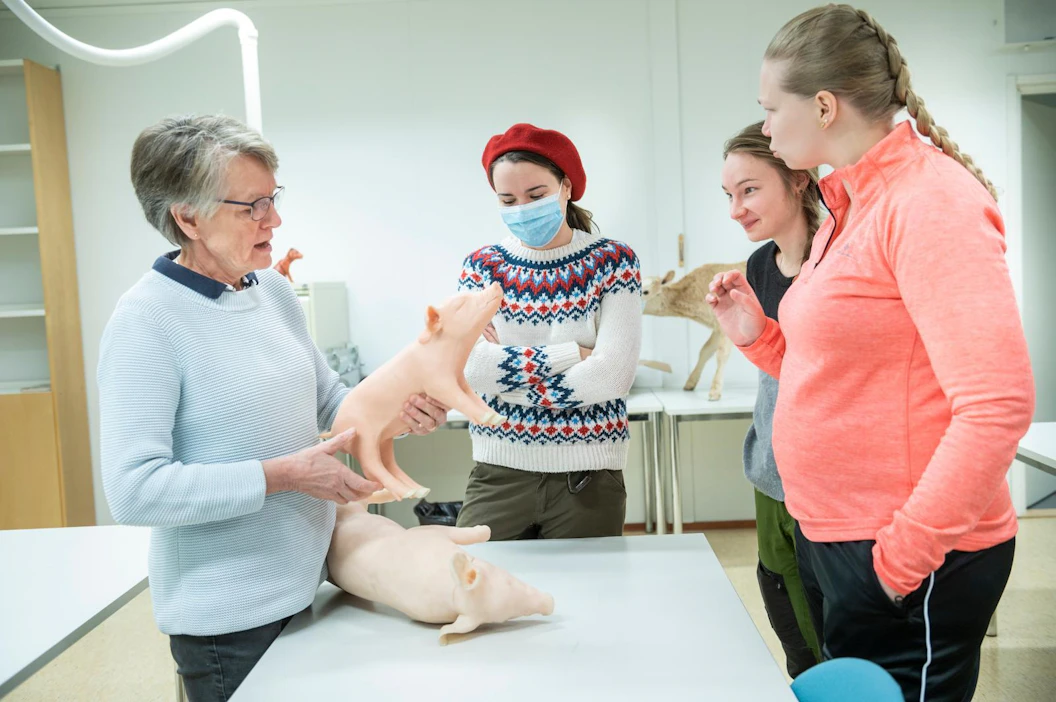 Silikonipossut saavat tehdä sian virkaa, kun ollaan luokkahuoneessa. Professori Mari Heinonen pitämässä luentoa 18.10. Oppia saivat viidennen vuoden eläinlääkäriopiskelijat Venla-Maria Uutela, Hyrsky Pihlaja ja Riina Suontakanen.