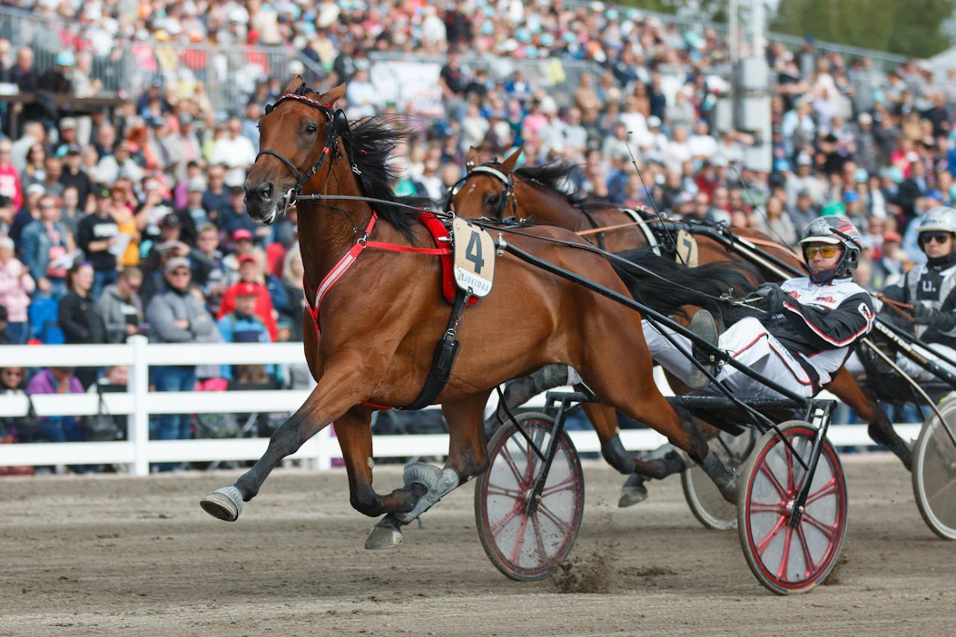 Mika Forssa tavoittelee Örebrossa voittoa mm. Willow Priden kanssa. Ravit näkyvät antenniverkon kanavalla 26.