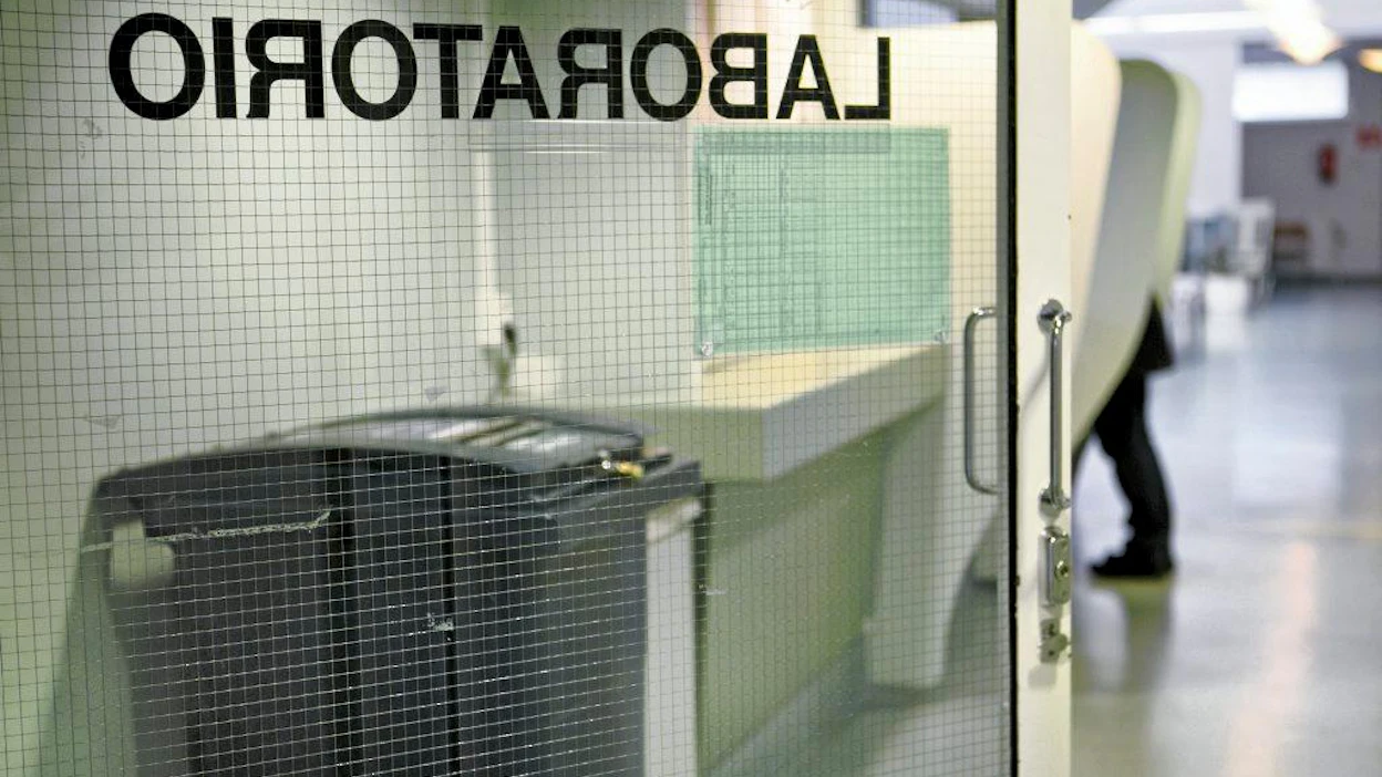 Terveys- ja sosiaalipalvelujen lisäksi myös koulutusta kaavaillaan hallituspuolueissa aluehallinnon tehtäväksi.