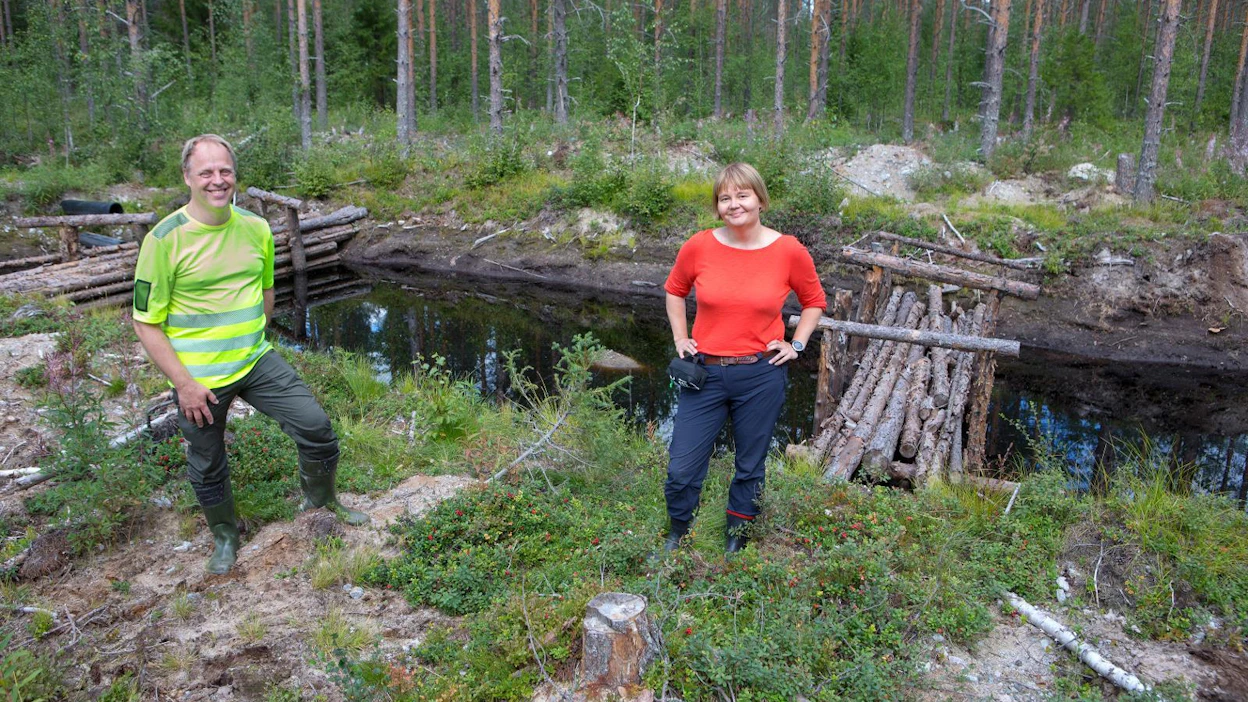 Janne Soimasuo ja Krista Kimmo Metsä Groupista tutustuivat Karstulan Rantakylässä yksityismetsänomistajan mailla kohteeseen, jossa testataan vesienpuhdistusmenetelmää puurakenteiden avulla.