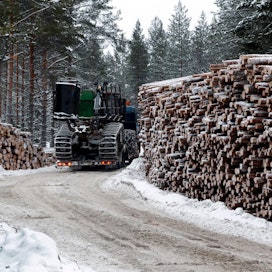 Ruotsin entisen pääministerin Göran Perssonin mielestä nykyiset puun hinnat eivät kannusta riittävästi metsätalouden investointeihin tai hakkuisiin.