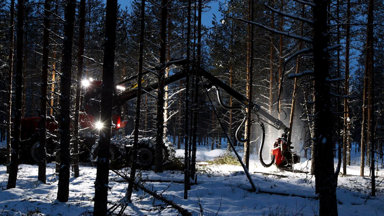 Kuntien mukaan ilman metsäyhtiöiden ostokartellia mäntykuitupuun hinta olisi ollut noin 16 prosenttia toteutunutta korkeampi.