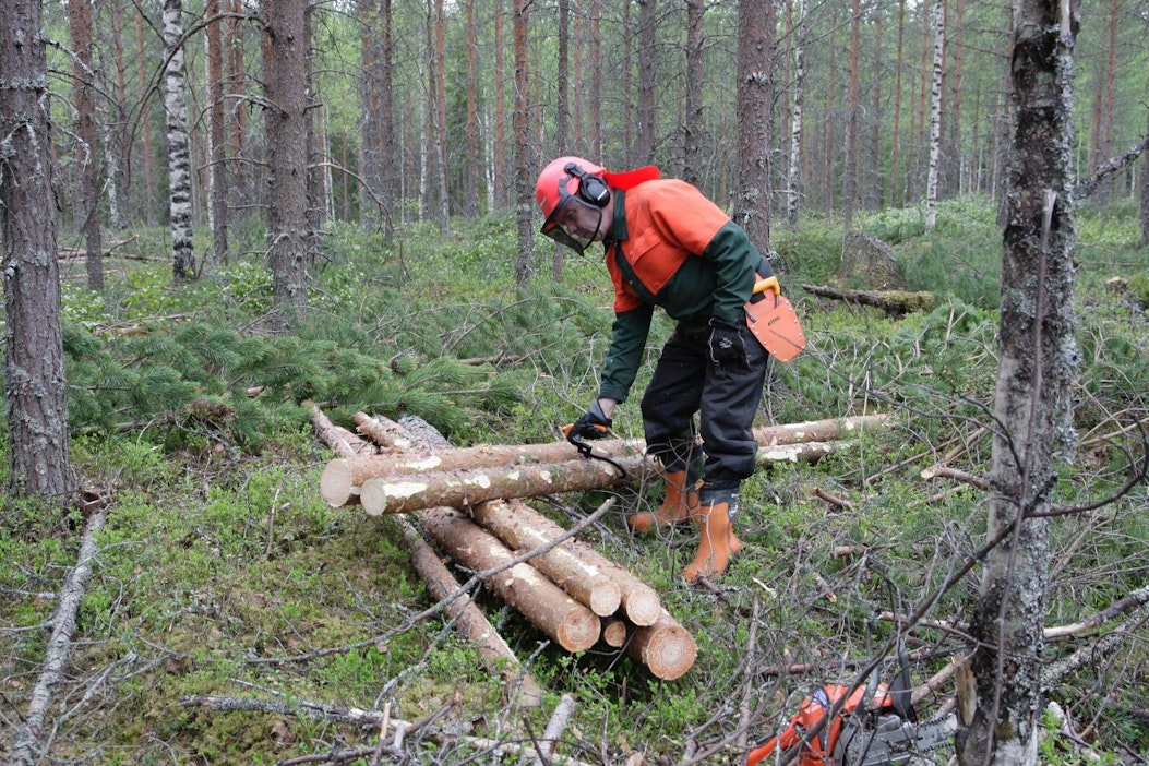 Lokari on väännös metsuria tarkoittavasta loggerista.