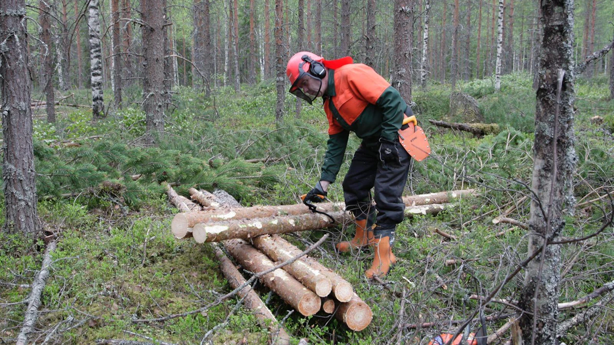 Lokari on väännös metsuria tarkoittavasta loggerista.