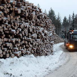 Uuden lain myötä Metsähallituksen puukauppa siirtyy perustettavaan tytäryhtiöön, jolla on yksinoikeus käyttää Metsähallituksen talousmetsiä liiketoiminnan harjoittamiseen.