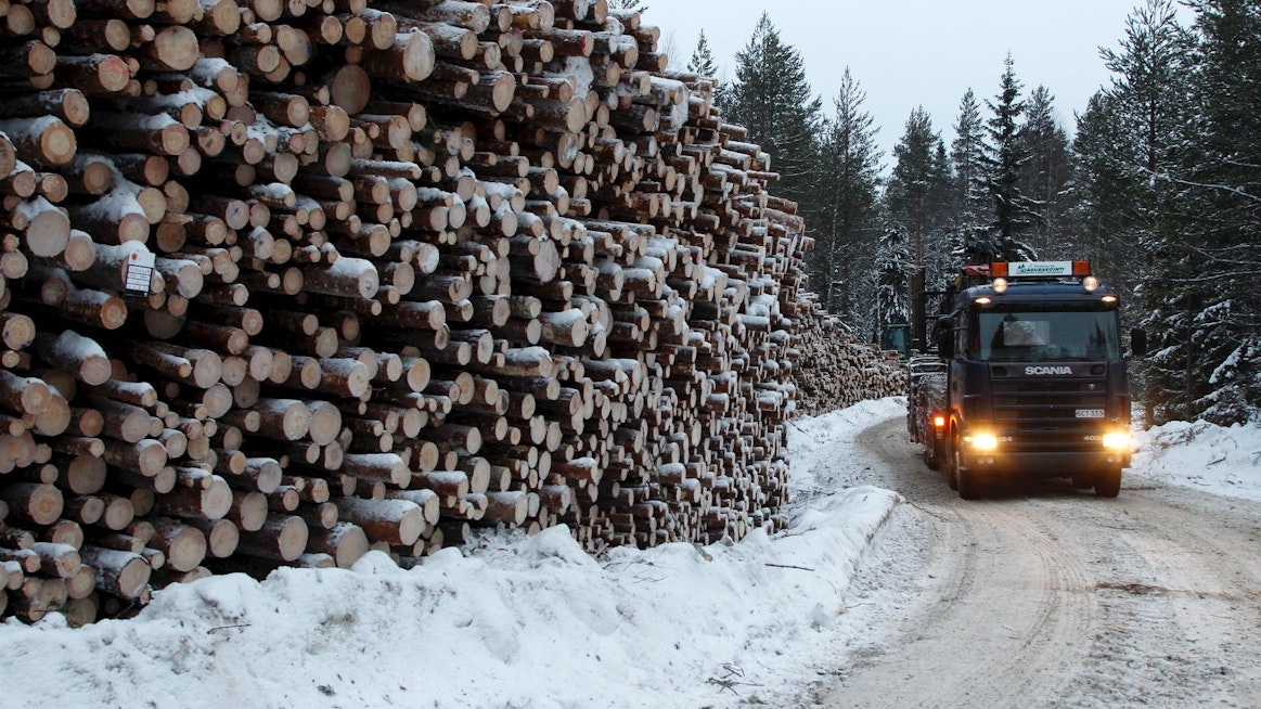 Uuden lain myötä Metsähallituksen puukauppa siirtyy perustettavaan tytäryhtiöön, jolla on yksinoikeus käyttää Metsähallituksen talousmetsiä liiketoiminnan harjoittamiseen.