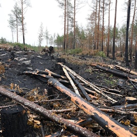 Metsävakuutustarjousta OP Pohjolalta pyytäneet metsänomistajat ovat yllättyneet, kun vakuutusta ei ole ollut mahdollista saada Pohjois- ja Keski-Pohjanmaalla, kertoo Kaleva. Kuva on Kalajoen paloalueelta.