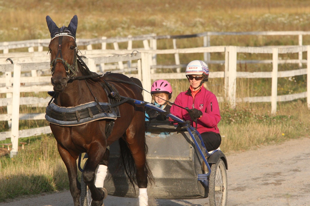 Riina Rekilä on vaihtanut Kanadan kotimaan maisemiin.