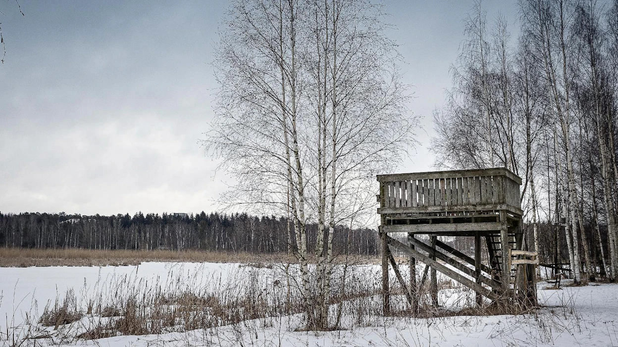 Yksittäisten lajien suojeluun ehdotetaan määräaikaista suojelua, avustettua leviämistä ja tieteelle tuntemattomien lajien suojelua koskevia säännöksiä. Esimerkiksi monien lintulajien kannat ovat taantuneet huolestuttavasti.