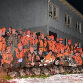 Etelä-Juvan Erämiesten metsästäjät kokoontuivat lauantaina villisikasaaliin äärelle.