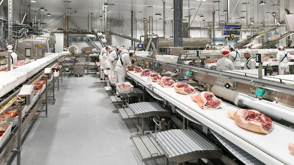 Atria aikoo vähentää väkeä Nurmon sikaleikkaamoltaan.