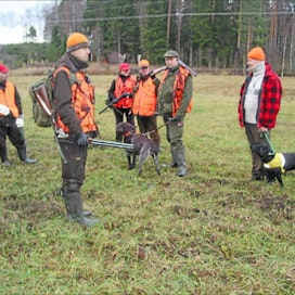 Monet metsästysseurat järjestävät vierasjahteja. Kuvassa Suomen metsästäjäliiton rusakkojahdin osanottajia Etelä-Hämeen Lopella viime syksynä. Reijo Vesterinen