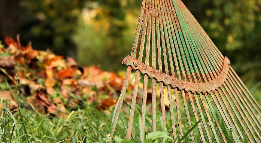 Lehtikasat, kolot ja muut piilopaikat hyödyttävät siilejä, kunhan vesi ei pääse valumaan niihin talvella.