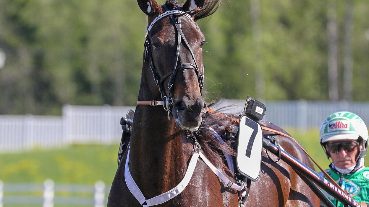 Callela Lisbeth palasi voittokantaan Tammaderbyn karsinnoissa.