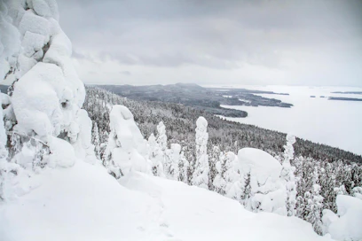 Koli houkuttelee kaikkina vuodenaikoina. Nyt maisema on pukeutunut lumiasuun.
