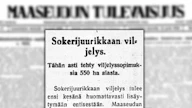 MT:ssä uutisoitiin sokerijuurikkaan viljelyn lisääntymisestä.