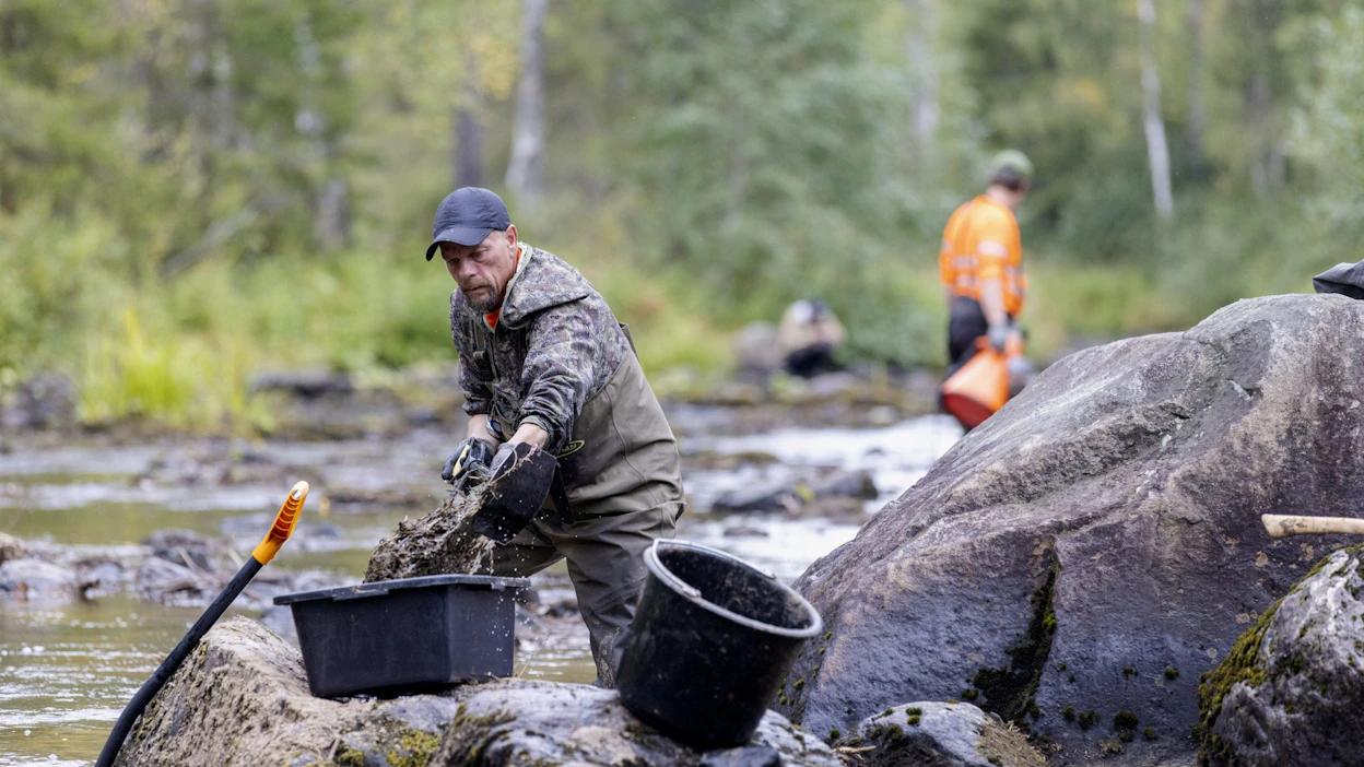 Hukkajokea puhdistettiin eli hiekkaa ja maa-ainesta siirrettiin pois joen uomasta Suomussalmella 23. elokuuta. LEHTIKUVA / HANNU HUTTU.