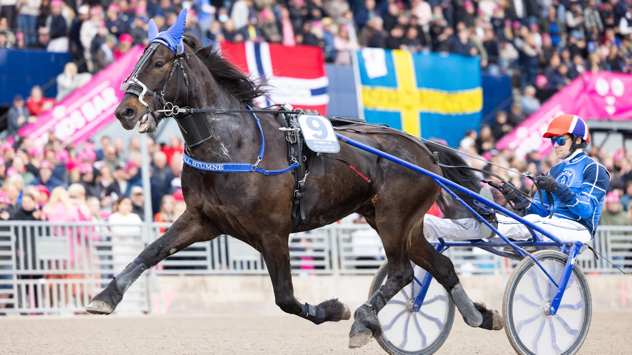 Ole Johan Östren ohjastama Stumne Fyr oli mukana tämän vuoden Elitkampenissa.