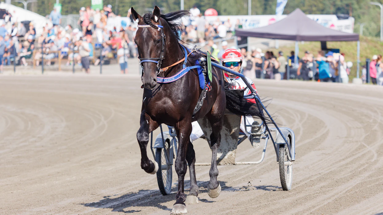 Crepe Match on valmentajansa ja osaomistajansa Harri Koivusen tallin tähti. Oriilla on 37 kisastaan 11 voittoa ja yhteensä 23 totosijaa.