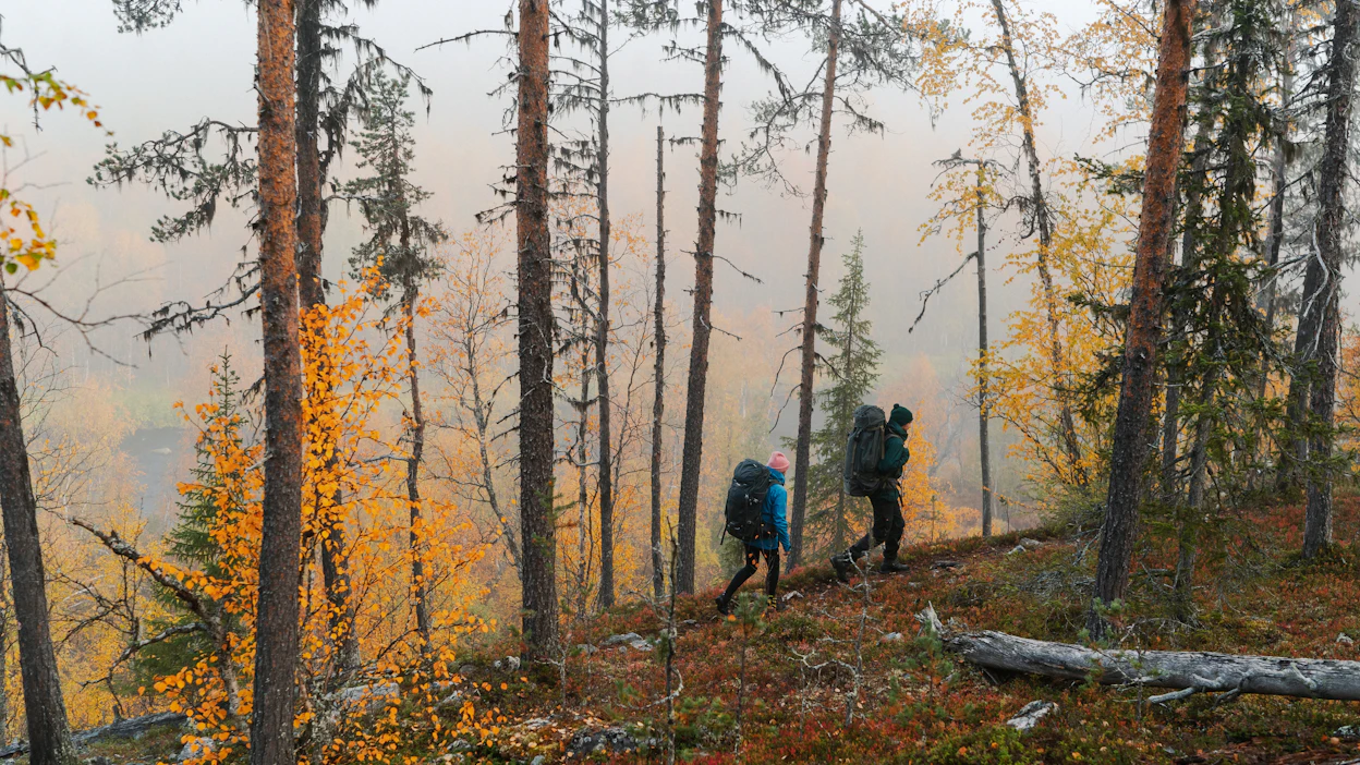 Kansallispuistojen kävijämäärä on tänä vuonna tippunut 12 prosenttia viime vuodesta. Kuvassa retkeilijöitä Nuorttijoen maisemissa.