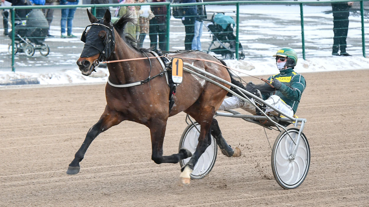 Jason’s Camden valmistautuu kuvassa Seinäjoki Raceen Hannu Torvisen ohjastamana.