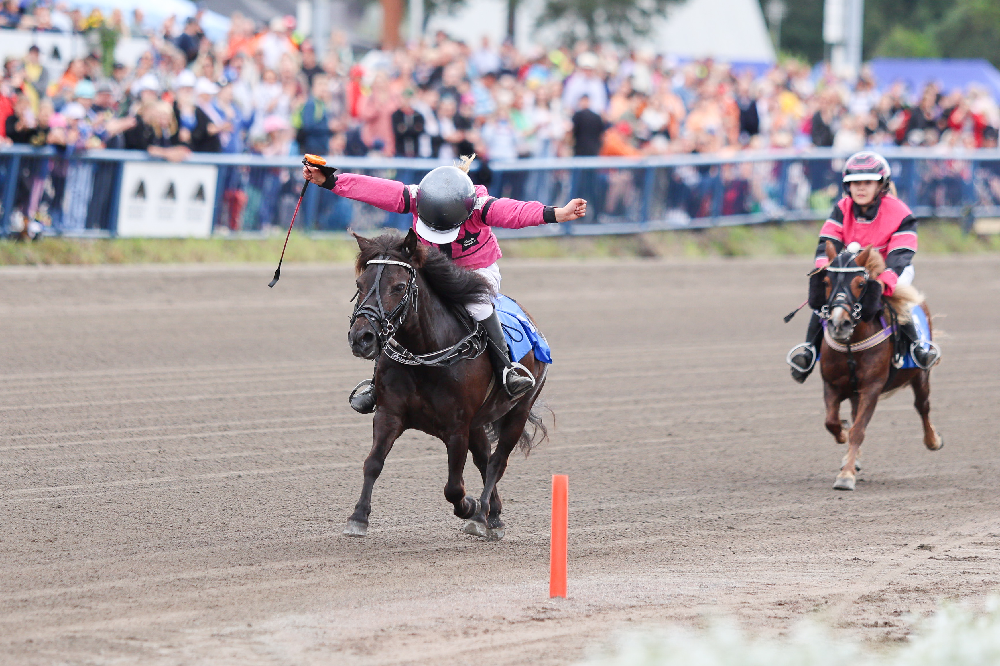 Arkistokuvassa Saphira voittaa A-ponien montén Suomen mestaruuden Kouvolassa.