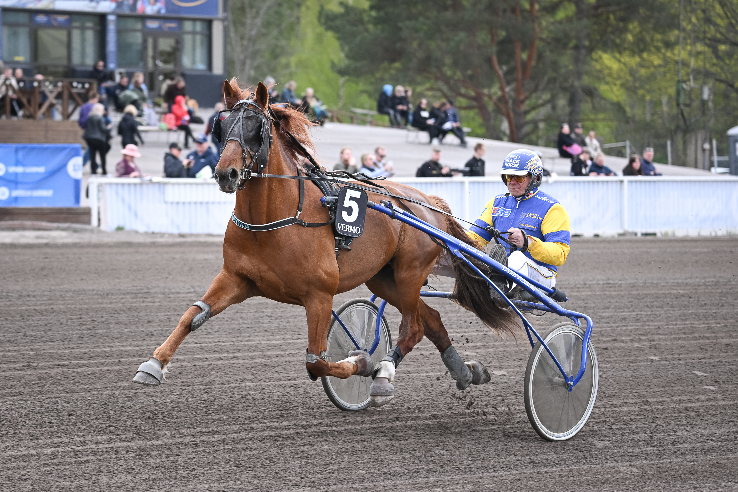 Lumettajan laukat eivät Terho Rautiaisen mukaan johdu sen kummemmista ongelmista. Kunto hevosella on kohdallaan.