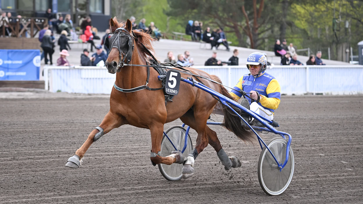 Lumettajan laukat eivät Terho Rautiaisen mukaan johdu sen kummemmista ongelmista. Kunto hevosella on kohdallaan.
