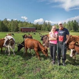 Mikko ja Niina Valjus aloittivat sitkeästi maidontuotannon viljatilalla, jossa ei ollut lainkaan navettaa. He ovat kiitollisia lähiseudun maatiloille, jotka ovat vuokranneet maita, jotta tuotanto on mahdollista.