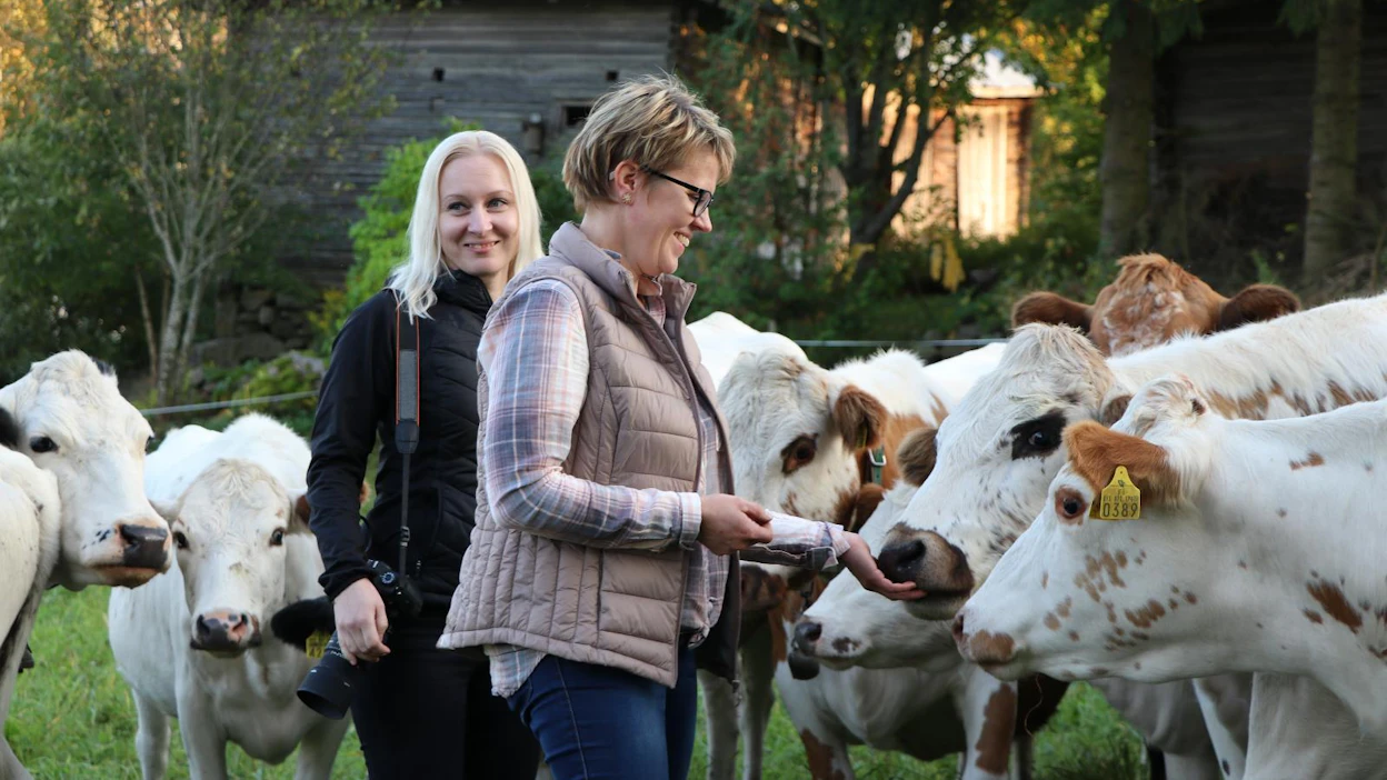 Alkuperäisrodut ovat luonteeltaan hyvin sosiaalisia ja uteliaita. Juuri se yhdessä kauniin ulkonäön kanssa ihastuttaa karjankasvattaja Hanna Puolakkaa (oik.) ja valokuvausta harrastavaa Suvi Tiaista.