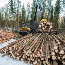 Turvallisuus- ja kemikaalivirasto Tukes on julkaissut verkossa metsäammattilaisille ja metsänomistajille suunnatun itseopiskeluaineiston kasvinsuojeluaineiden käytöstä.