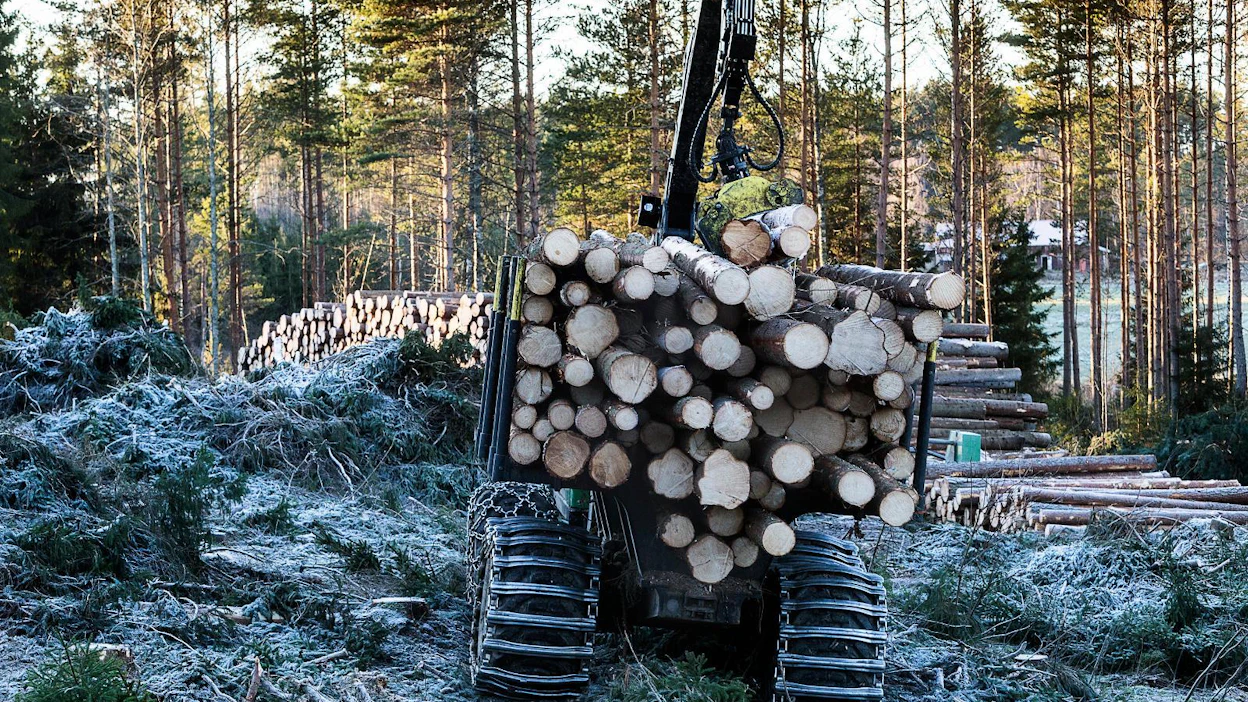 Viime vuonna marras–joulukuussa Metsäteollisuus ry:n jäsenyritysten viikoittaiset ostomäärät yksityismetsistä ylittivät miljoona kuutiometriä. Tänä vuonna vastaaviin lukuihin ei yllettäne.