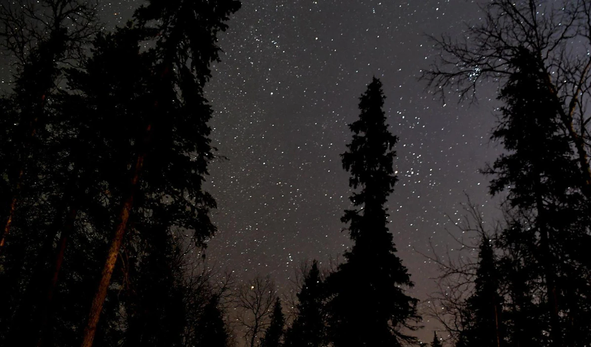 Toivoa tähdenlentojen bongaamiselle kuitenkin vielä jää, sillä meteoreja näkyy myös lähiöinä.